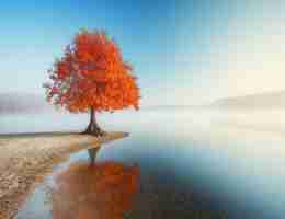 js自‍动​化‍脚﻿本‌开﻿发﻿教﻿程﻿下﻿载﻿